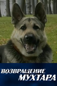 Возвращение Мухтара (1-10 сезон)